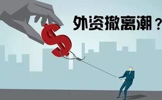 外资大量撤出的原因_大量外资撤离是好事吗(图1)